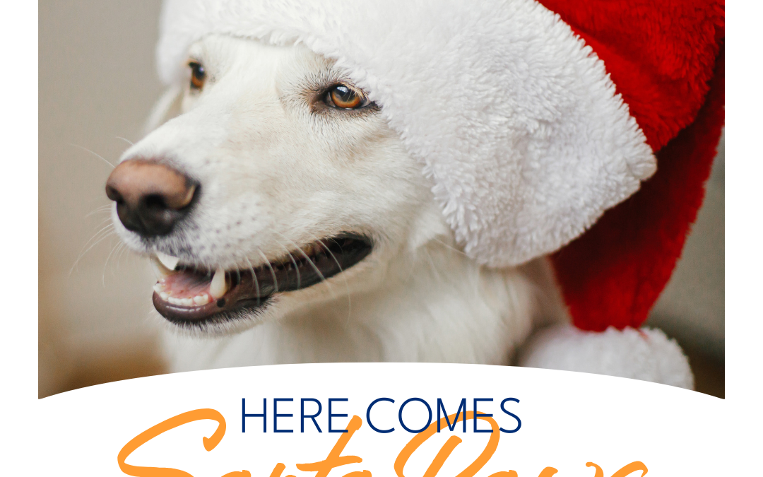 Santa Paws is coming to lakeside!