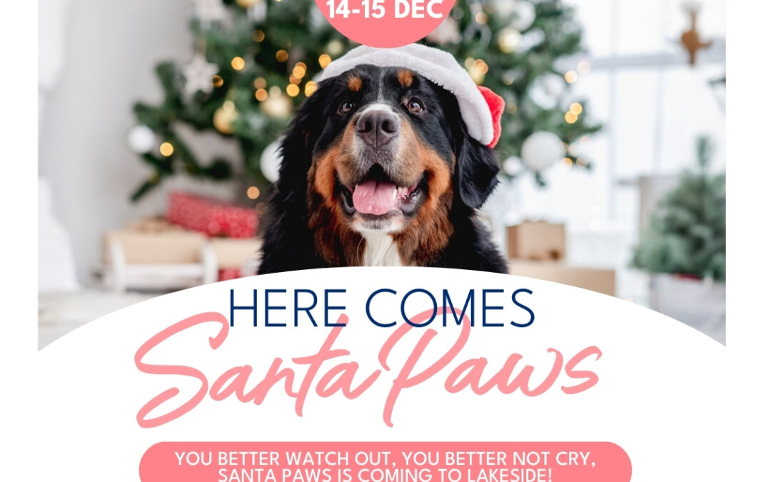 Here Comes Santa Paws!